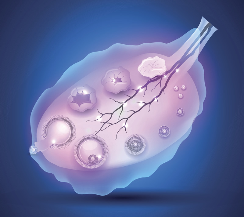 沈阳48岁试管婴儿医院排名前十强及价格指南：附沈阳菁华、盛京医院等机构详情对比